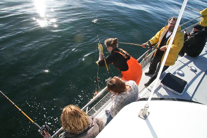 Reykjavik Sea Angling Gourmet - Faxaflói Bay, three hours on the water