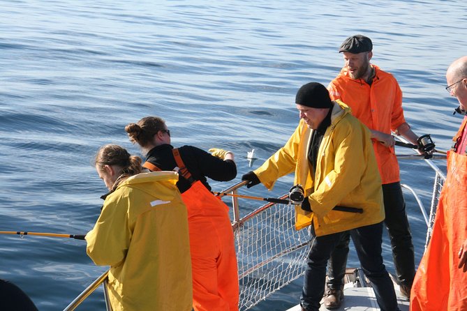 Reykjavik Sea Angling Gourmet - How the $160 price compares