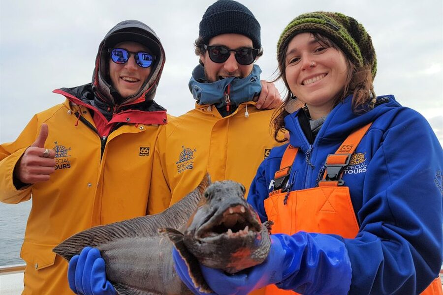 Reykjavik: Sea Fishing Boat Tour & BBQ with the Day's Catch - Booking details worth knowing