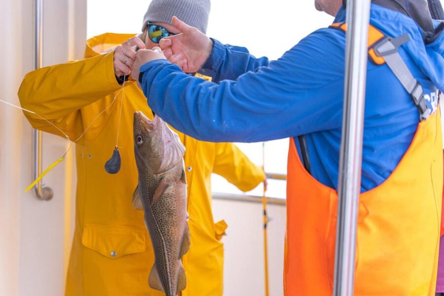 Reykjavik: Sea Fishing Boat Tour & BBQ with the Day's Catch - Three fishing areas and changing results