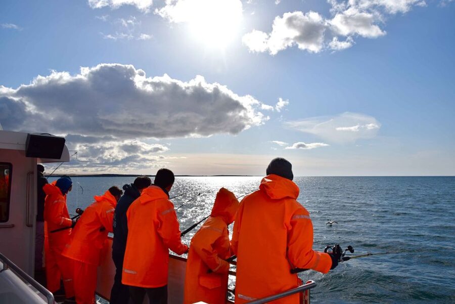 Reykjavik: Sea Fishing Boat Tour & BBQ with the Day's Catch - Is the $141 price good value?