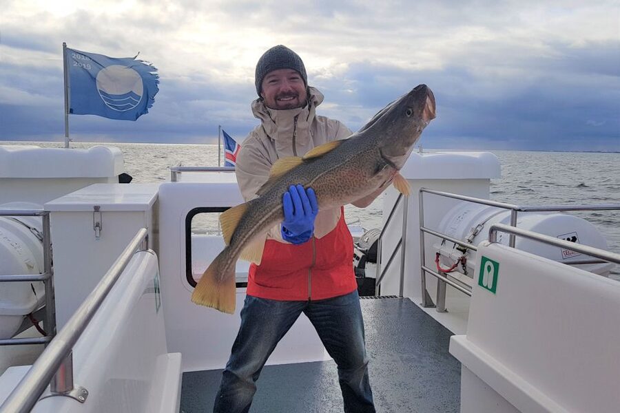 Reykjavik: Sea Fishing Boat Tour & BBQ with the Day's Catch - Who should book this fishing trip?