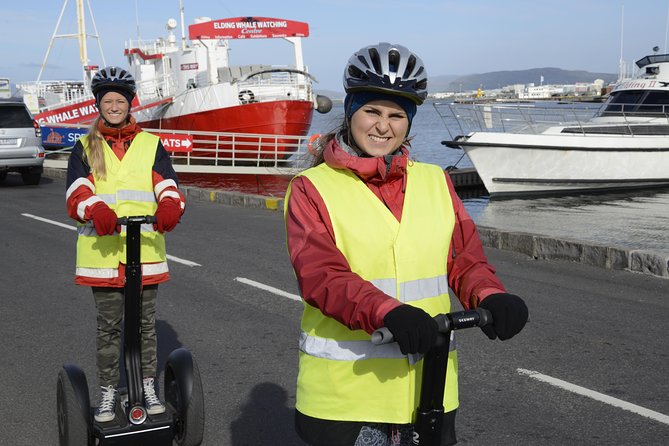 Reykjavik Segway Tour - The guide can make or break the ride