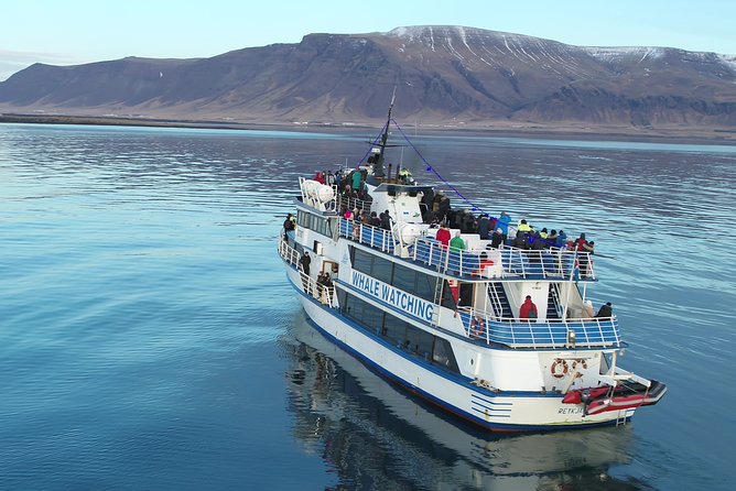 Reykjavik Shore Excursion: Whale-Watching Cruise - Why weather matters more than the calendar