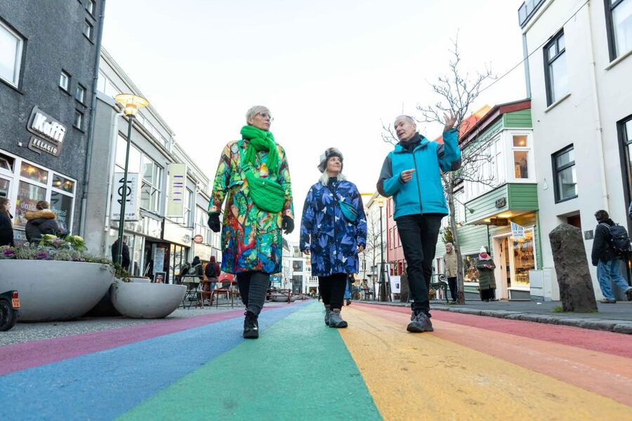 Reykjavik: Sightseeing Walking Tour with a Viking - Key points to know before booking