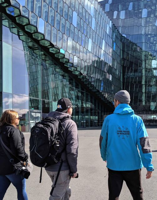 Reykjavik: Sightseeing Walking Tour with a Viking - Austurvöllur and Alþingi: Icelandic public life