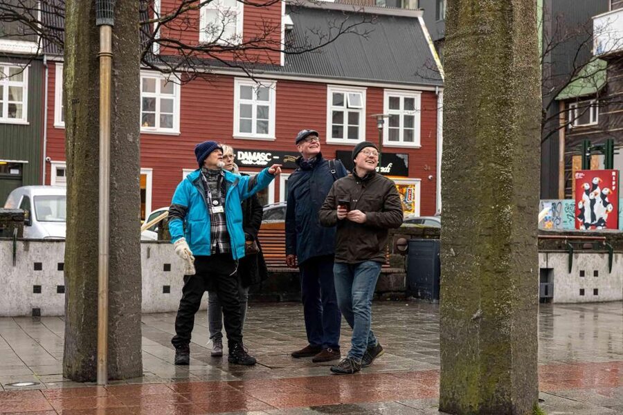 Reykjavik: Sightseeing Walking Tour with a Viking - Toward the harbor and Ægisgarður