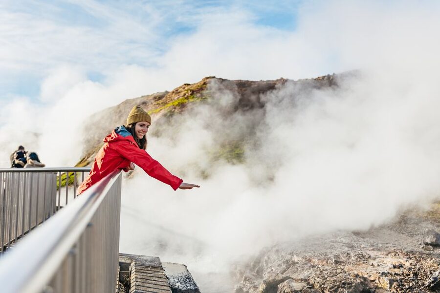 Reykjavik: Silver Circle Tour, Canyon Ride, & Thermal Baths - A warm welcome at Sturlureykir Horse Farm
