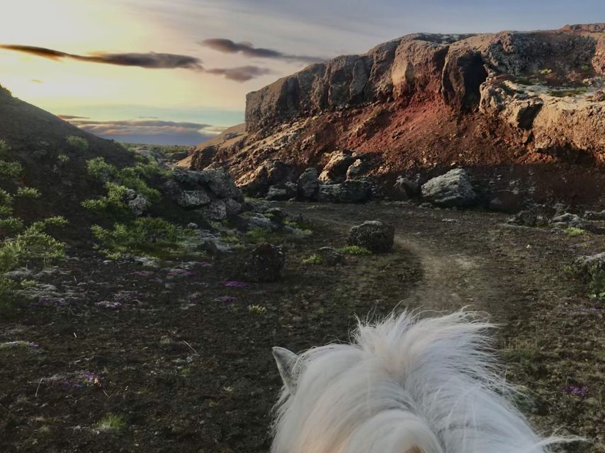 Reykjavik: Small-Group Horse Volcano Riding Tour with Pickup - Getting matched with the right Icelandic horse