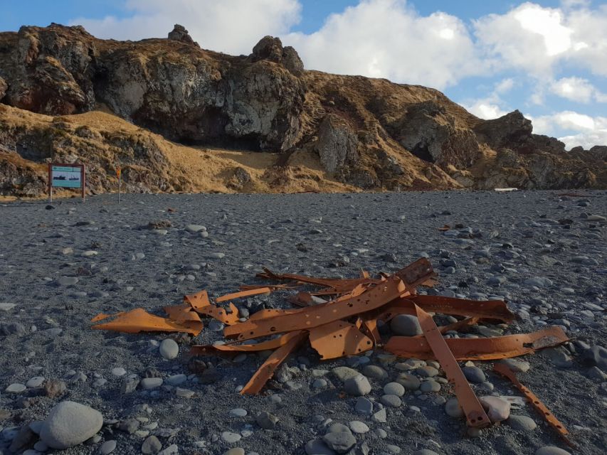 Reykjavik: Small-Group Snæfellsnes Day Trip - Ytri-Tunga brings you close to Iceland’s seals