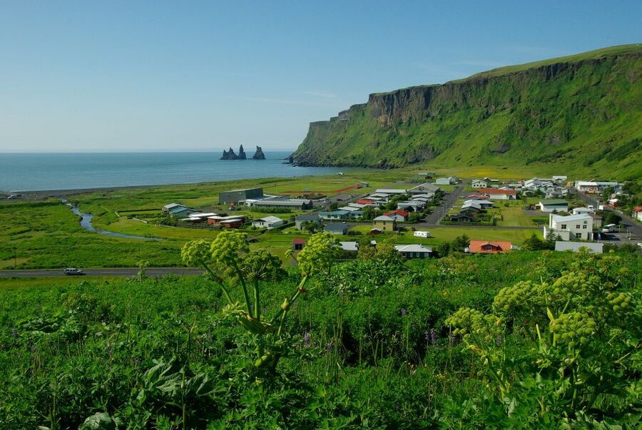 Reykjavik: South Coast Private Guided Day Tour - Vik gives you food and a change of pace