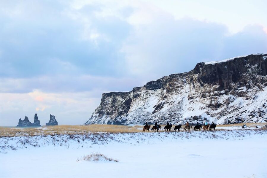 Reykjavik: South Coast Waterfalls & Glacier Small-Group Tour - A realistic look at the bus and schedule