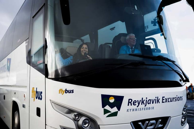 Reykjavik: The Golden Circle Day Tour - Is $79 good value?