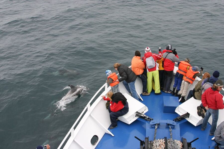 Reykjavik: the Original 3-Hour Whale Watching Tour - Leaving Reykjavík’s Old Harbour