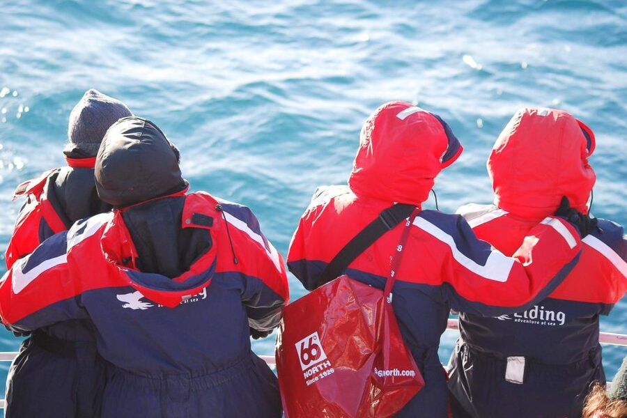 Reykjavik: the Original 3-Hour Whale Watching Tour - Staying warm on the water