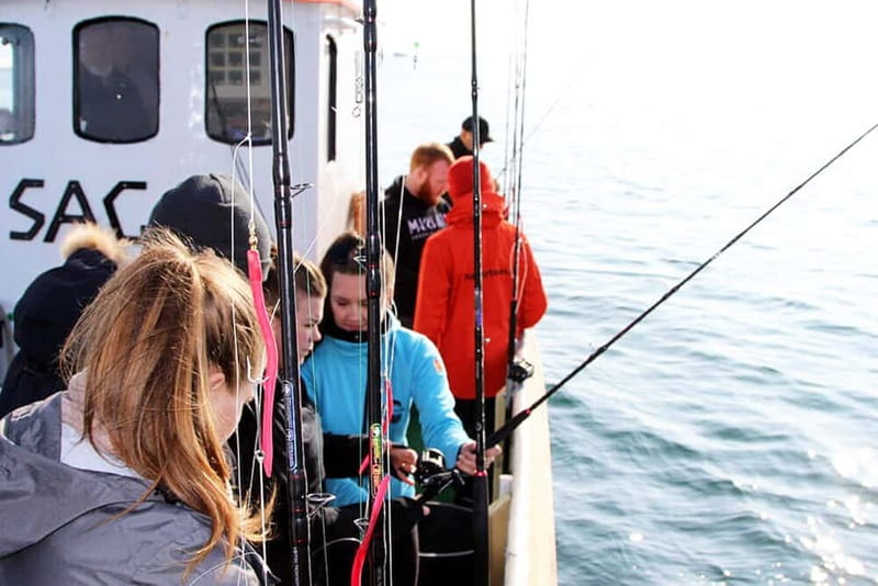 Reykjavik: Traditional Sea Fishing with BBQ Feast - Reykjavik Bay, islands, and a little wildlife