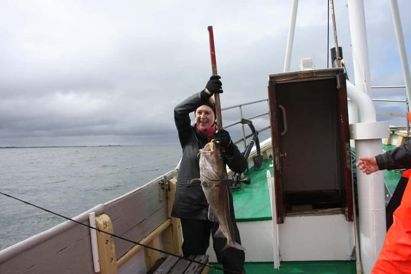 Reykjavik: Traditional Sea Fishing with BBQ Feast - The catch becomes a fresh harbor lunch