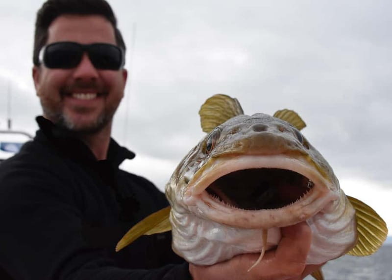 Reykjavik: Traditional Sea Fishing with BBQ Feast - What the $170 price includes