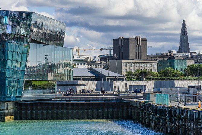 Reykjavik Walking Tour - Walk with a Viking - Austurvöllur, City Hall, and Icelandic democracy
