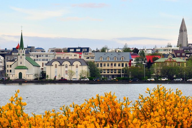 Reykjavik Walking Tour - Walk with a Viking - Laugavegur, Arnahöll, and the final climb