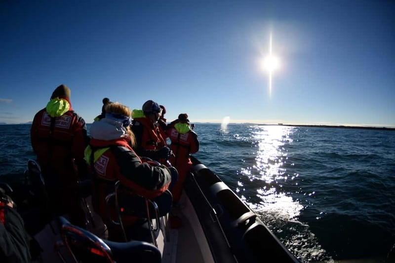 Reykjavik: Whale and Puffin Watching RIB Boat Tour - Staying warm on the North Atlantic