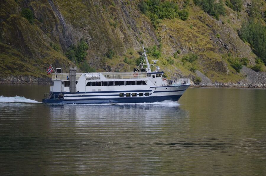 Reykjavik: Whale & Marine Adventure Tour - The heated cabin and outdoor deck