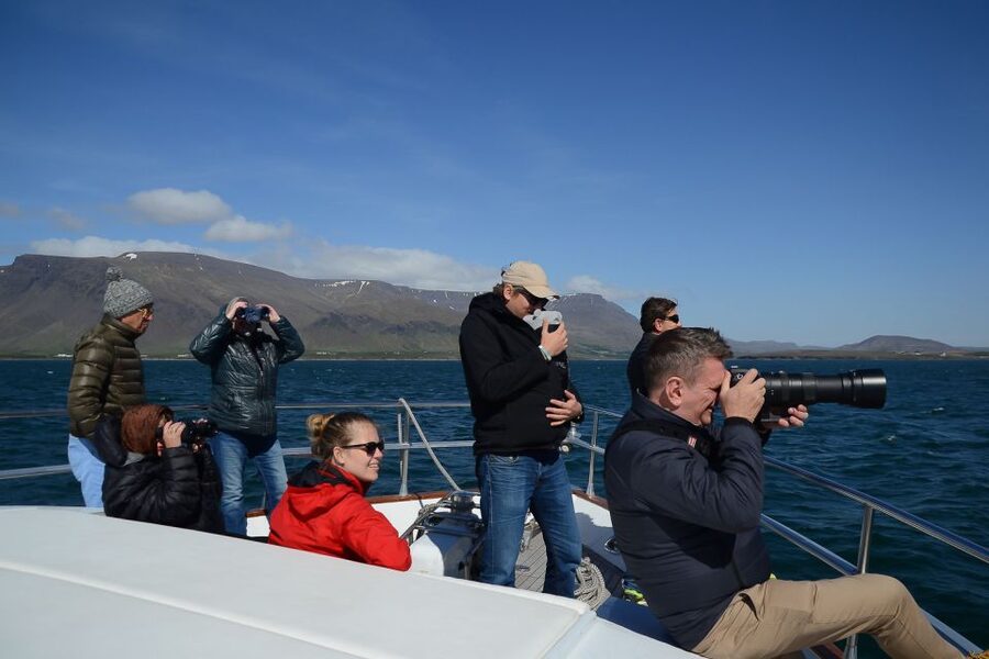 Reykjavik: Whale Watching and Dolphin Watching Yacht Cruise - Staying warm on a yacht in Iceland