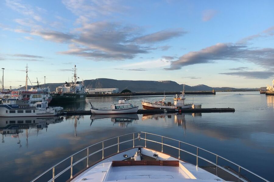 Reykjavik: Whale Watching and Dolphin Watching Yacht Cruise - Searching for humpbacks, minkes, and dolphins
