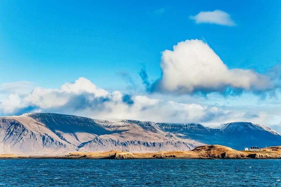 Reykjavík: Whale Watching and Marine Life Cruise - Key points to know