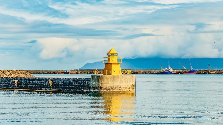 Reykjavík: Whale Watching and Marine Life Cruise - Booking and practical details