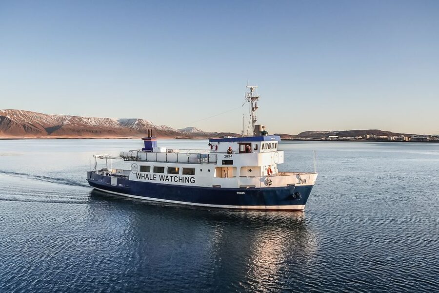 Reykjavík: Whale Watching and Marine Life Cruise - Leaving Reykjavík’s Old Harbour