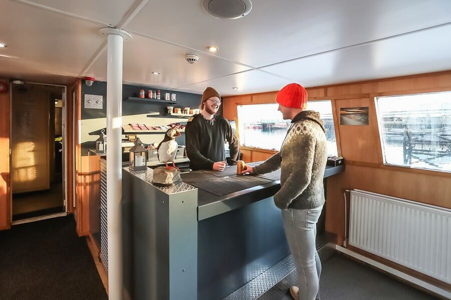Reykjavík: Whale Watching and Marine Life Cruise - Timing, season, and the odds of seeing wildlife