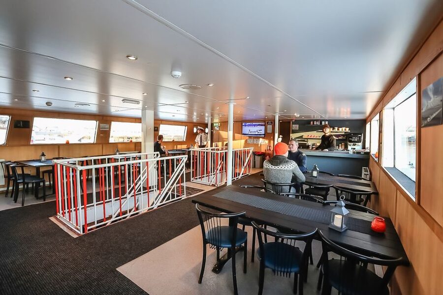 Reykjavík: Whale Watching and Marine Life Cruise - Is $87 good value?