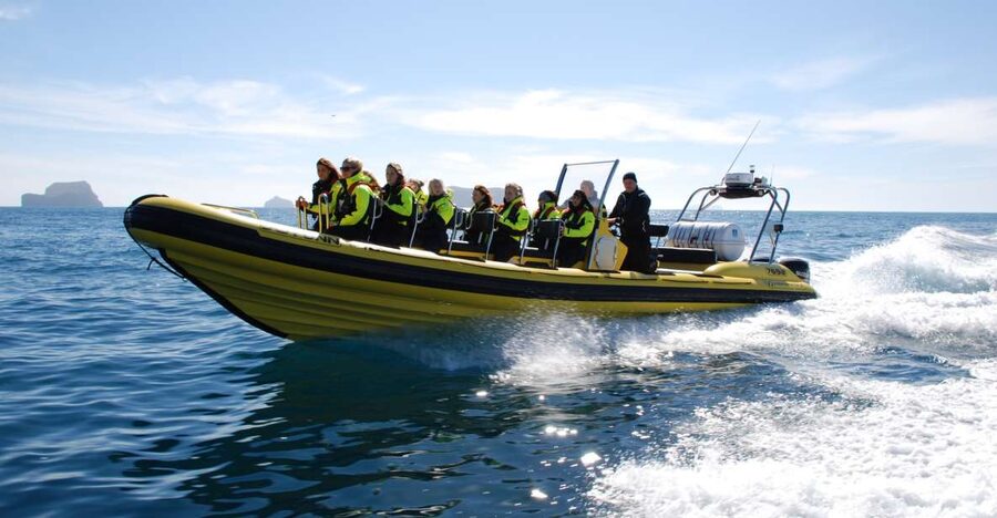 Reykjavik: Whale Watching by RIB Speedboat - A RIB ride with whales as the main event