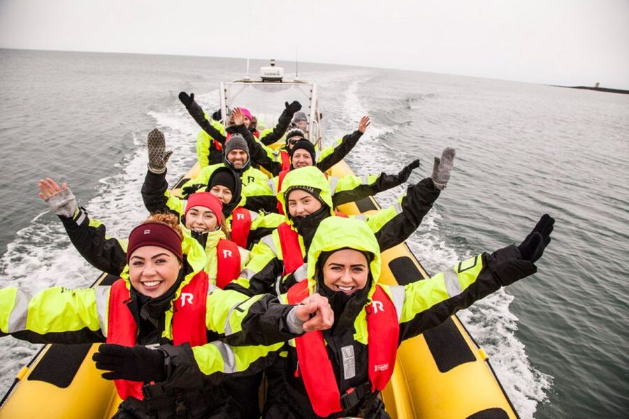 Reykjavik: Whale Watching by RIB Speedboat - The search for humpbacks, minkes, and dolphins