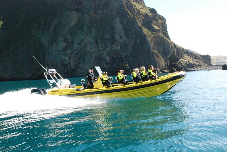 Reykjavik: Whale Watching by RIB Speedboat - The weather decision is part of the deal