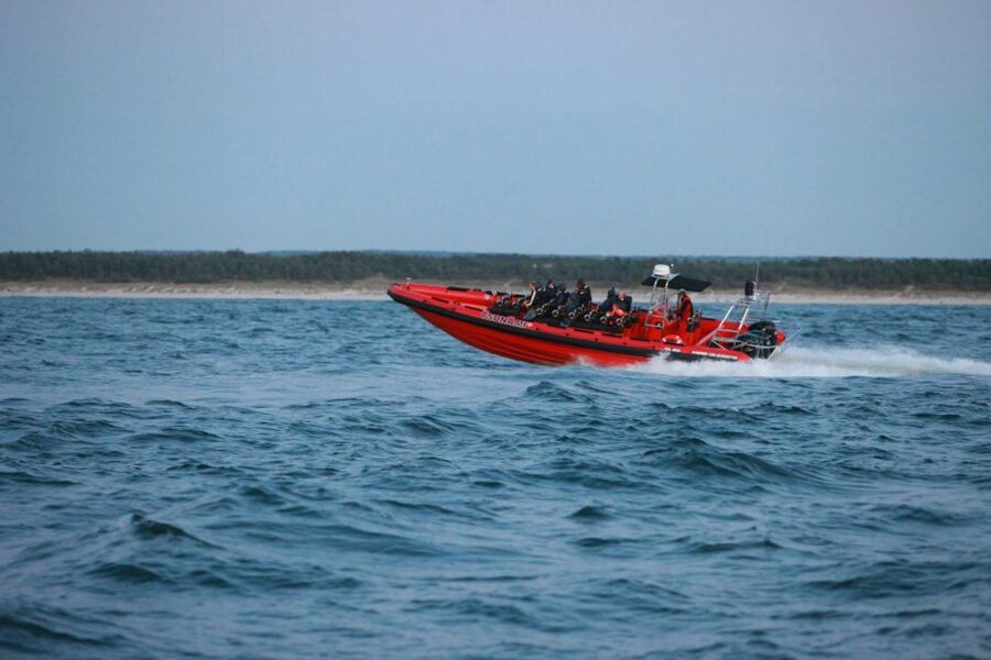 Reykjavik: Whale Watching by RIB Speedboat - Is $200 a fair price?