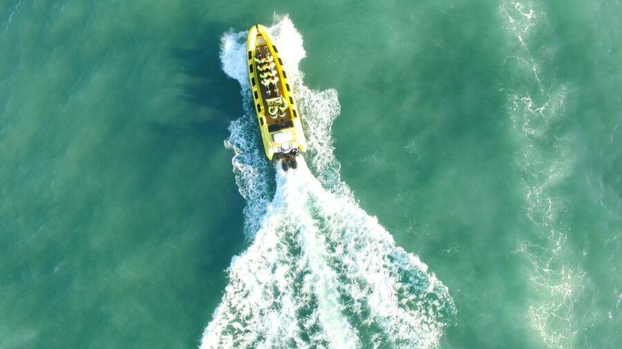 Reykjavik: Whale Watching by RIB Speedboat - Useful planning details before departure