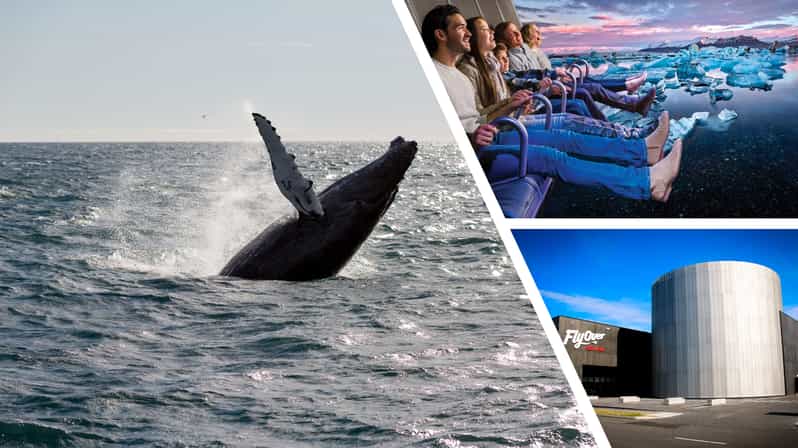 Reykjavík: Whale Watching Cruise and FlyOver Combo Ticket - Setting out from Reykjavík for whales