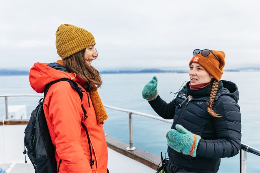 Reykjavík: Whale Watching Cruise on the Amelia Rose Yacht - Key points to know before booking