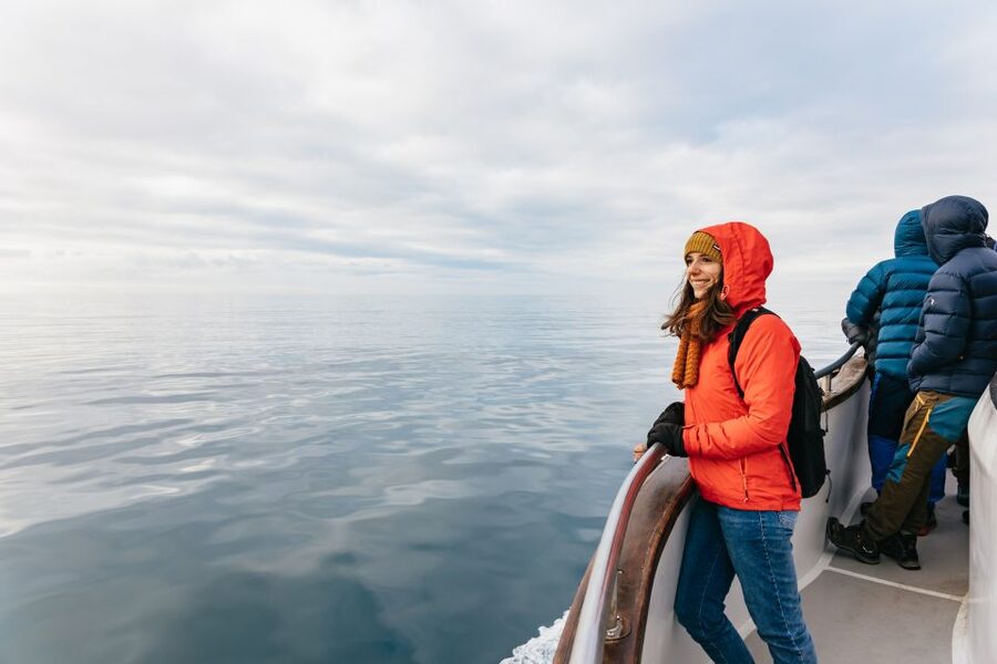 Reykjavík: Whale Watching Cruise on the Amelia Rose Yacht - Booking details that can save you trouble