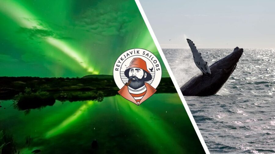 Reykjavik: Whale Watching & Northern Lights Combo Cruise - Why this combo works in Reykjavik