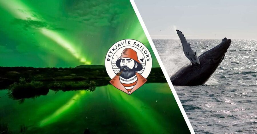 Reykjavik: Whale Watching & Northern Lights Combo Cruise - Meeting at Geirsgata 11