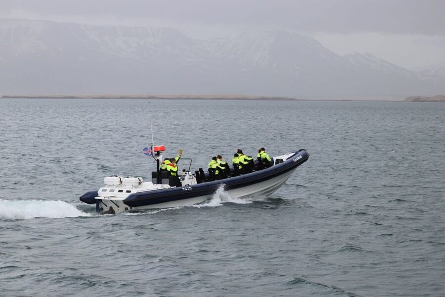 Reykjavik: Whale Watching Tour by RIB Boat - Who should book this RIB tour?