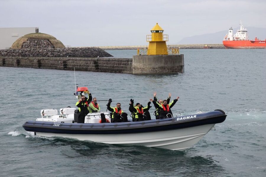 Reykjavik: Whale Watching Tour by RIB Boat - Is $194 a fair price?