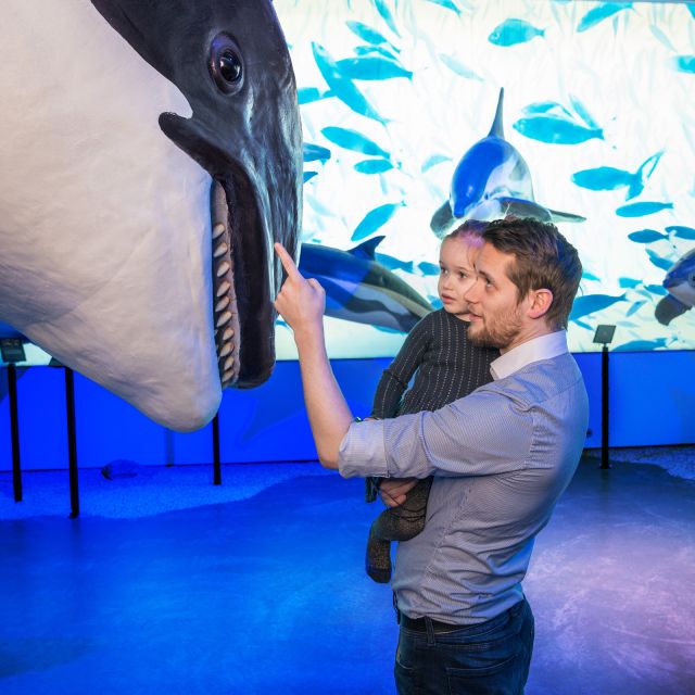Reykjavik: Whale Watching Tour, Whales of Iceland Exhibition - Key points to know before booking