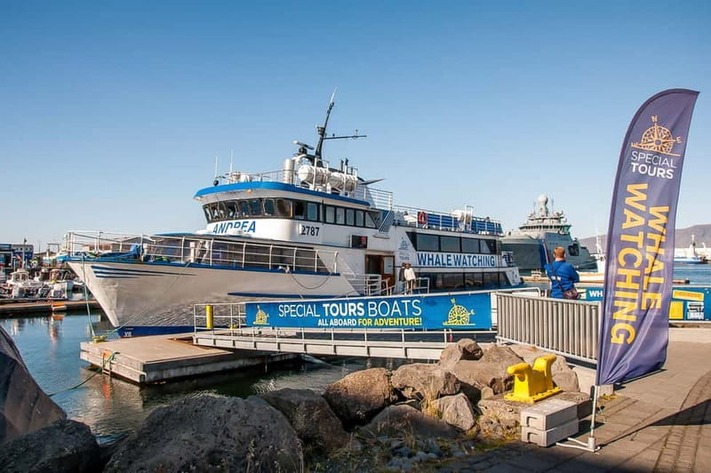 Reykjavik: Whale Watching Tour with Expert Guide - Key points to know before you sail