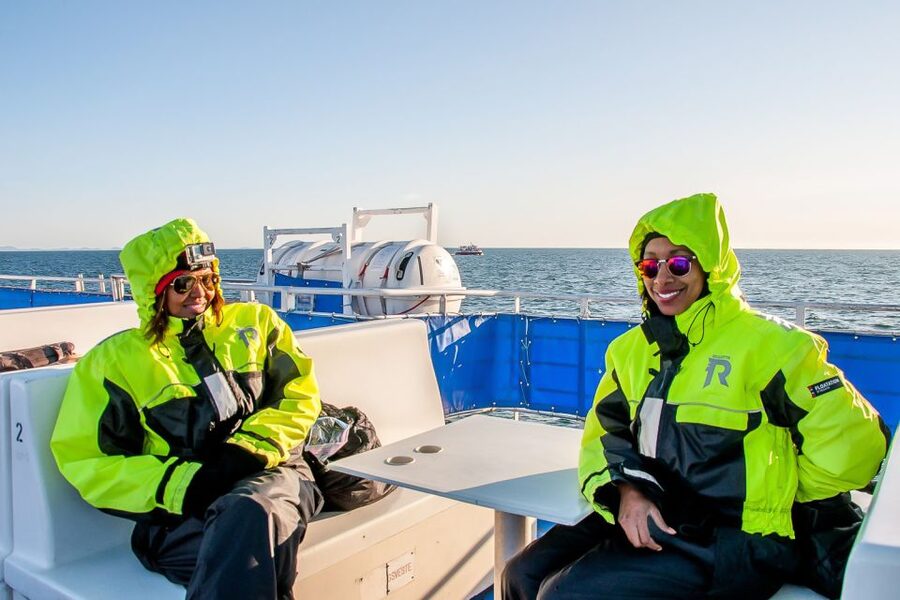 Reykjavik: Whale Watching Tour with Expert Guide - When to go and what the $90 price means