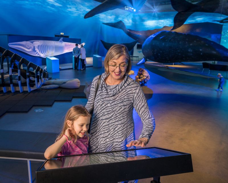 Reykjavik: Whales of Iceland Museum Entrance Ticket - Practical details for planning your visit