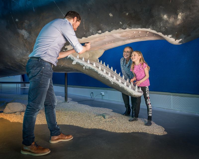 Reykjavik: Whales of Iceland Museum Entrance Ticket - Who will enjoy this museum most?